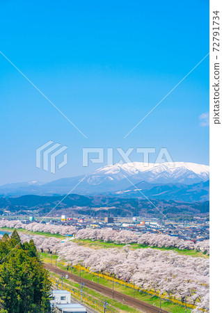 A famous place for cherry blossoms in Tohoku, Ichimoku Senbon Sakura [Miyagi Prefecture] 72791734