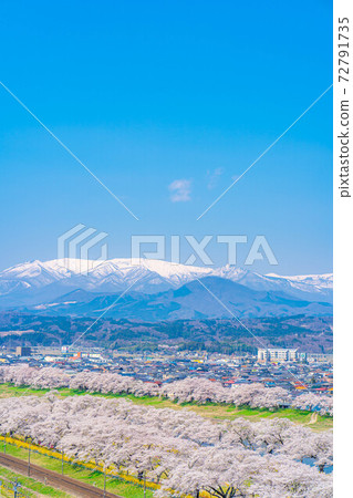 A famous place for cherry blossoms in Tohoku, Ichimoku Senbon Sakura [Miyagi Prefecture] 72791735