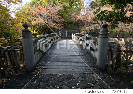 木橋 木橋 72791993