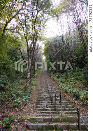 Long stone steps surrounded by forest 72792521