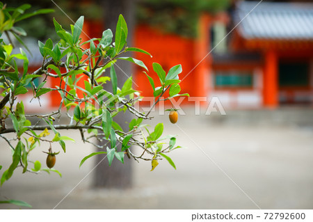 四川常盤柿花園三重三道堂 72792600