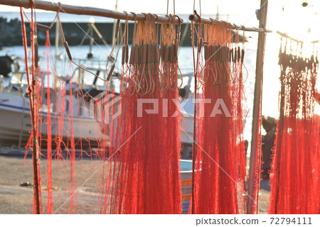 Shrimp net 72794111