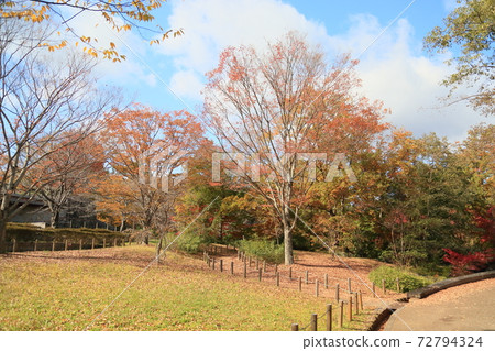 Deepening autumn park Deepening autumn park 72794324