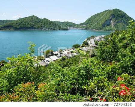 Misumi West Port townscape seen from the observatory (Uki City, Kumamoto Prefecture) Misumi West Port townscape seen from the observatory (Uki City, Kumamoto Prefecture) 72794338