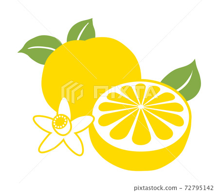 國語管弦樂隊 72795142