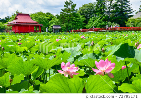 夏天的薩魯加公園 72795171