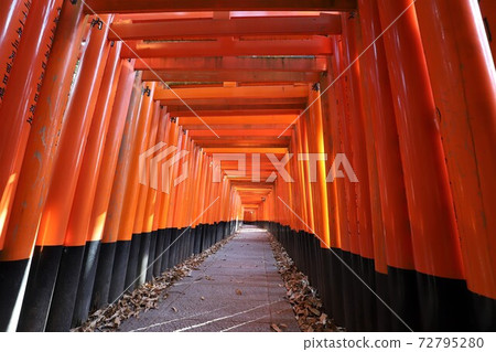 伏見Inari Taisha 伏見Inari Taisha 72795280