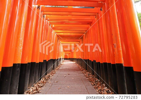 伏見Inari Taisha 72795283