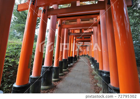 伏見Inari Taisha 72795302