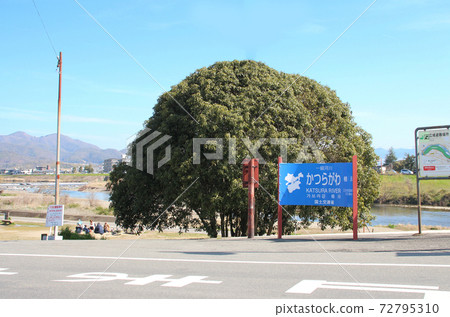 Katsura River in the clear blue sky Katsura River in the clear blue sky 72795310
