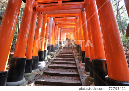 Fushimi-Inari Taisha  72795421