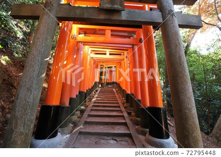 伏見Inari Taisha 伏見Inari Taisha 72795448