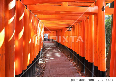 Fushimi-Inari Taisha  72795585