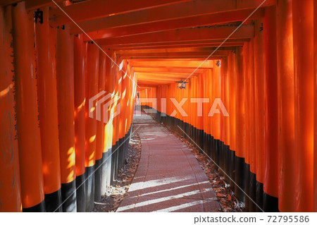 Fushimi-Inari Taisha  72795586