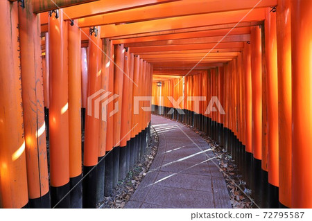 Fushimi-Inari Taisha  72795587