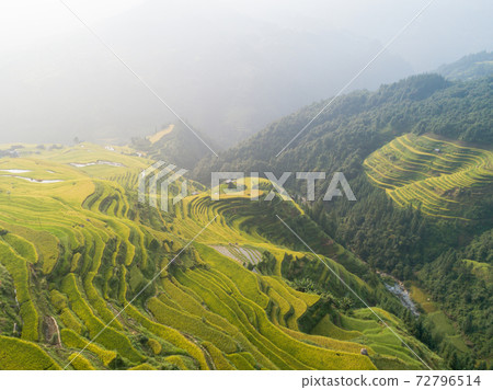 Beautiful terrace rice field with small houses in China 72796514