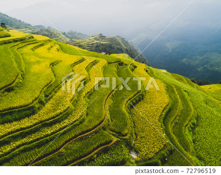 Beautiful terrace rice field with small houses in China 72796519