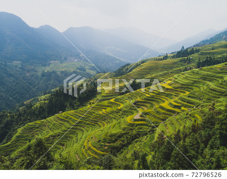Beautiful terrace rice field with small houses in China 72796526
