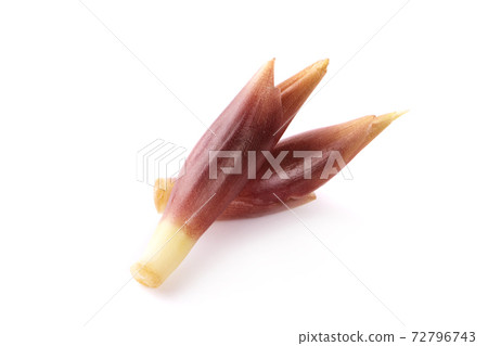 mioga isolated on a white background mioga isolated on a white background 72796743
