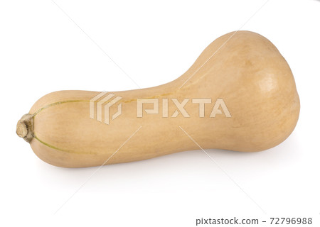 Fresh butternut squash isolated on a white background, Butternut Pumpkin isolated on white background Fresh butternut squash isolated on a white background, Butternut Pumpkin isolated on white background 72796988