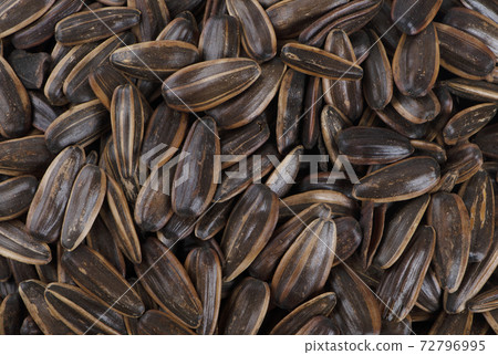 organic sunflower seed for background uses 72796995
