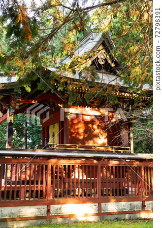 [山梨縣]富士大室淺間神社 72798391