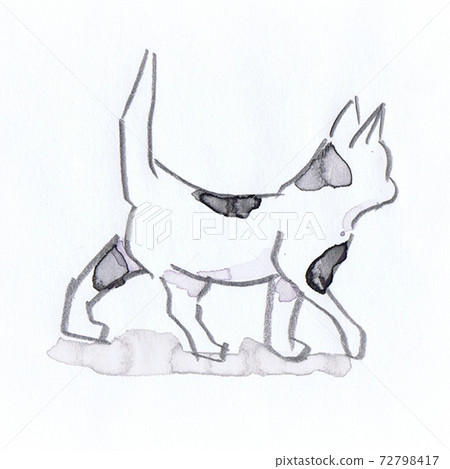 Watercolor cat 72798417