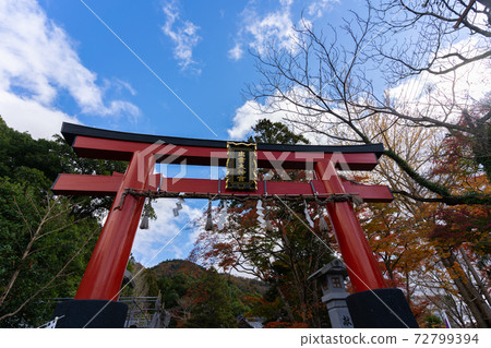 [Kyoto Prefecture] Izumo-Daijingu, Tamba Kuniichinomiya 72799394
