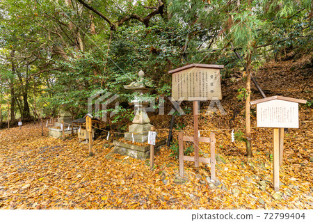 [Kyoto Prefecture] Izumo-Daijingu, Tamba Kuniichinomiya 72799404