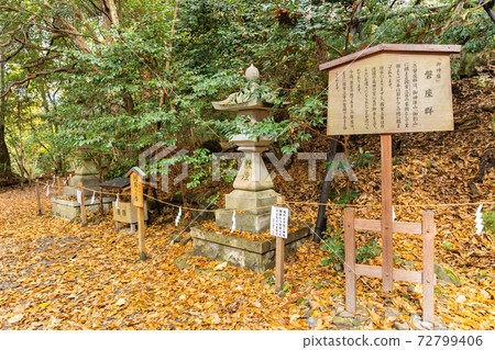 [京都府]丹波國立宮島出雲大神國 72799406