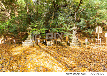 [Kyoto Prefecture] Izumo-Daijingu, Tamba Kuniichinomiya 72799427