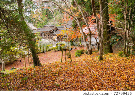 [Kyoto Prefecture] Izumo-Daijingu, Tamba Kuniichinomiya 72799436