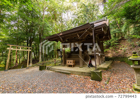 [Kyoto Prefecture] Izumo-Daijingu, Tamba Kuniichinomiya 72799443