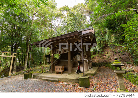 [Kyoto Prefecture] Izumo-Daijingu, Tamba Kuniichinomiya 72799444