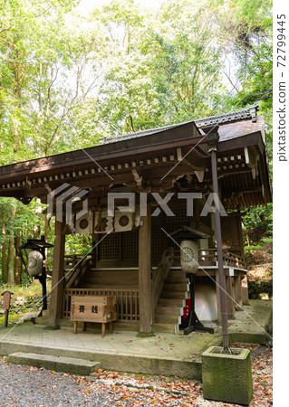 [Kyoto Prefecture] Izumo-Daijingu, Tamba Kuniichinomiya 72799445