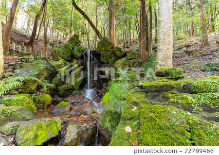 [京都府]丹波國立宮島出雲大神國 72799466