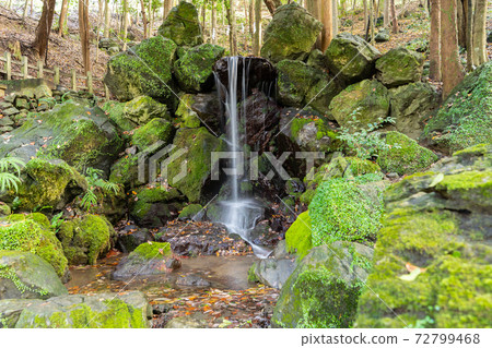 [Kyoto Prefecture] Izumo-Daijingu, Tamba Kuniichinomiya 72799468