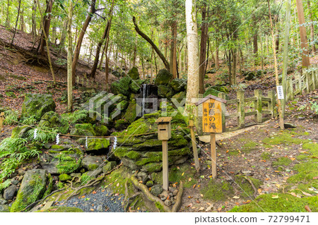[Kyoto Prefecture] Izumo-Daijingu, Tamba Kuniichinomiya 72799471