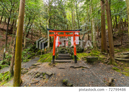 [Kyoto Prefecture] Izumo-Daijingu, Tamba Kuniichinomiya 72799486