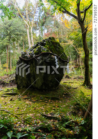 [京都府]丹波國立宮島出雲大神國 72799507