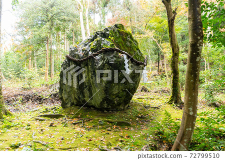 [Kyoto Prefecture] Izumo-Daijingu, Tamba Kuniichinomiya 72799510