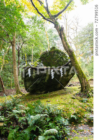 [京都府]丹波國立宮島出雲大神國 72799516