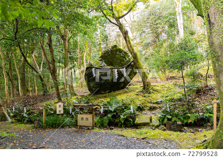 [Kyoto Prefecture] Izumo-Daijingu, Tamba Kuniichinomiya 72799528