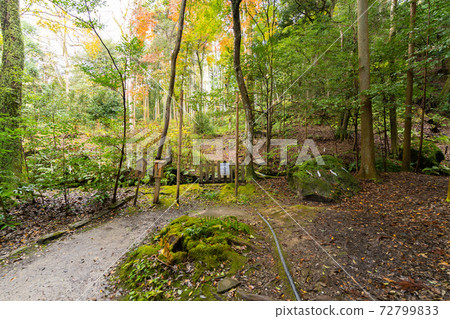 [京都府]丹波國立宮島出雲大神國 72799833