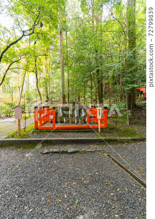 [Kyoto Prefecture] Izumo-Daijingu, Tamba Kuniichinomiya 72799839