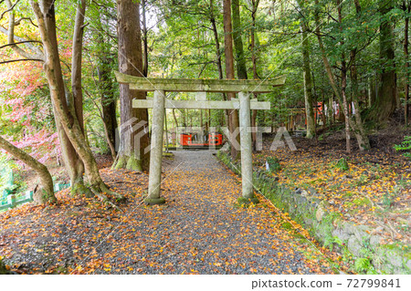 [京都府]丹波國立宮島出雲大神國 72799841