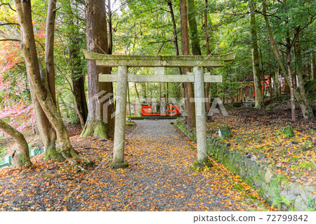 [京都府]丹波國立宮島出雲大神國 72799842