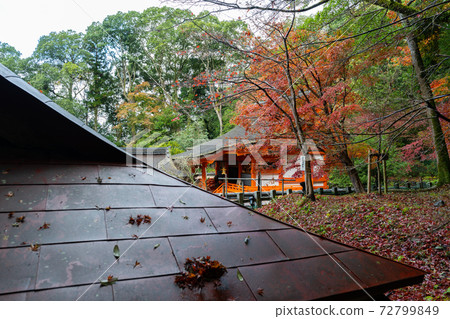 [Kyoto Prefecture] Izumo-Daijingu, Tamba Kuniichinomiya 72799849