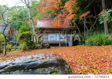 [Kyoto Prefecture] Izumo-Daijingu, Tamba Kuniichinomiya 72799853