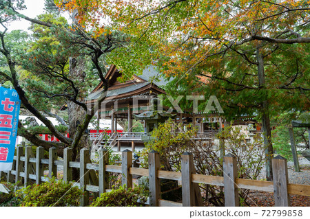 [京都府]丹波國立宮島出雲大神國 72799858